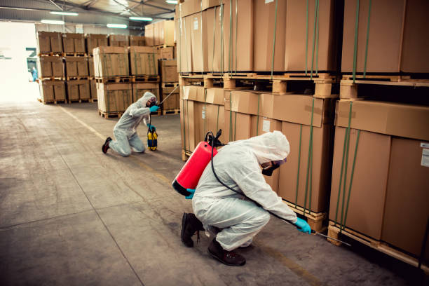 Best Best Pest Control Companies  in Dryden, MI