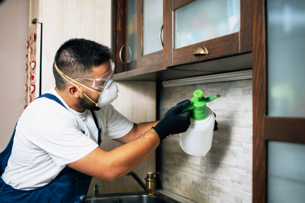 Best Pest Control Near Me  in Dryden, MI