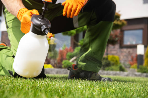 Best Flea Control Services  in Dryden, MI