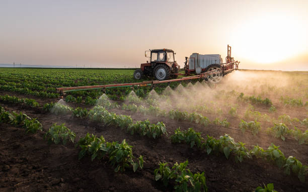 Best Pest Control Cost  in Dryden, MI