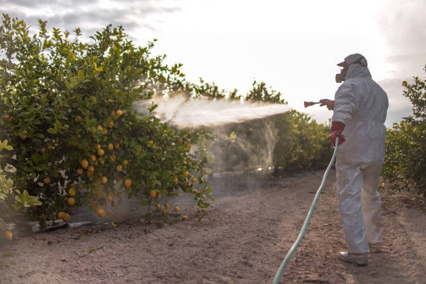Best Emergency Pest Control  in Dryden, MI