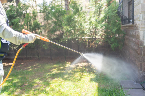 Best Cockroach Control Services  in Dryden, MI