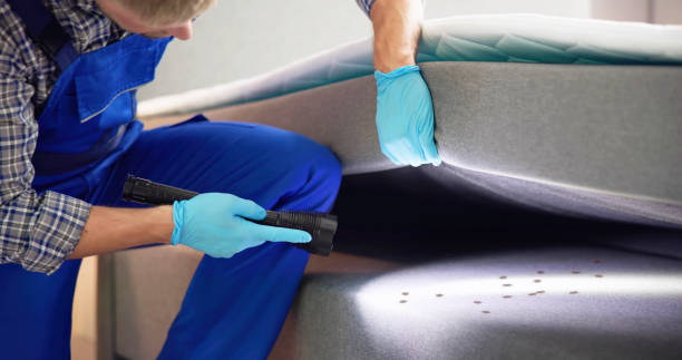 Best Bed Bug Extermination  in Dryden, MI