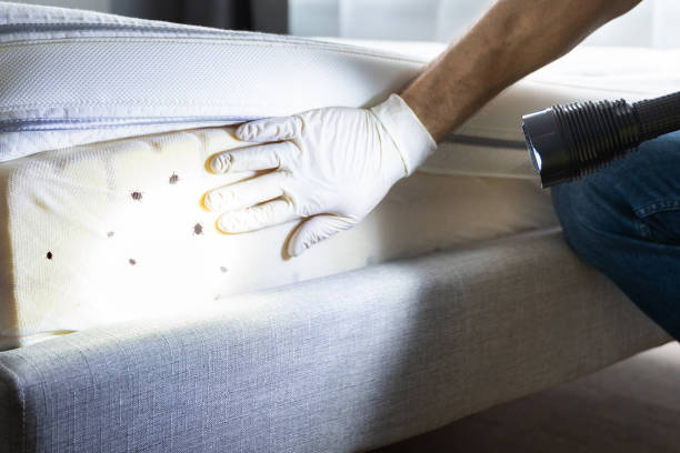 Best Exterminator Services  in Dryden, MI