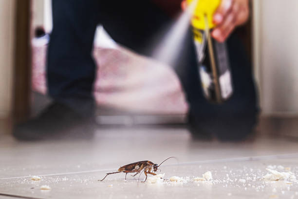 Best Mosquito Control Services  in Dryden, MI