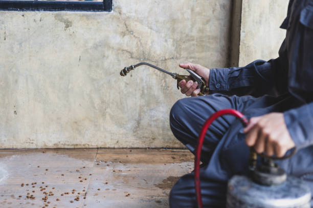 Pest Control Cost in Dryden, MI