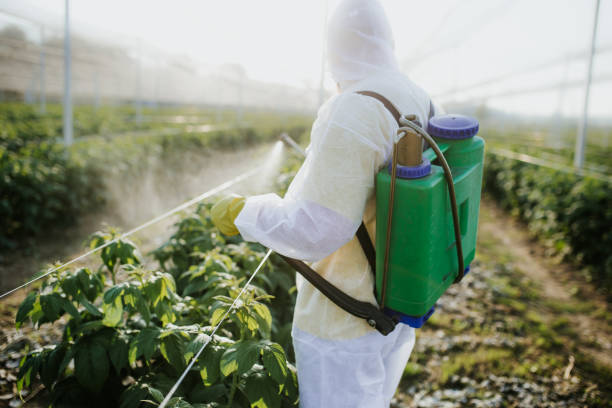 Best Wasp Removal Services  in Dryden, MI